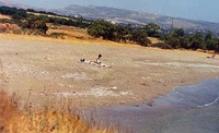 Παραλία Χιόνα