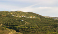 Άγιος Σπυρίδωνας (πρώην Κανένες)