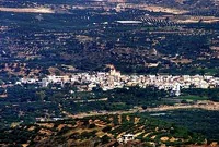 Πισκοκέφαλο