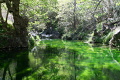 Διαδρομή φαραγγιού Ρίχτη